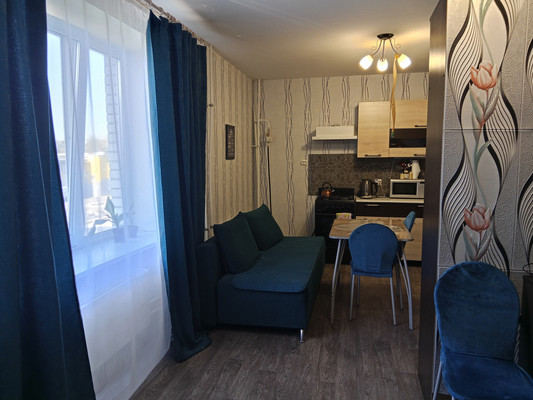 Продам однокомнатную (1-комн.) квартиру, Курковицкое ш, 11Б, Кикерино п