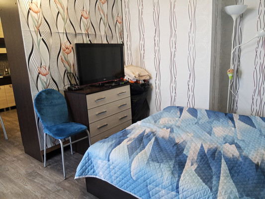 Продам однокомнатную (1-комн.) квартиру, Курковицкое ш, 11Б, Кикерино п