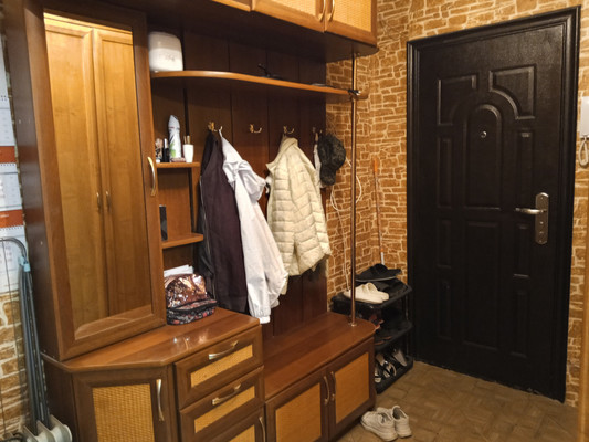 Продам однокомнатную (1-комн.) квартиру, Курковицкое ш, 11Б, Кикерино п