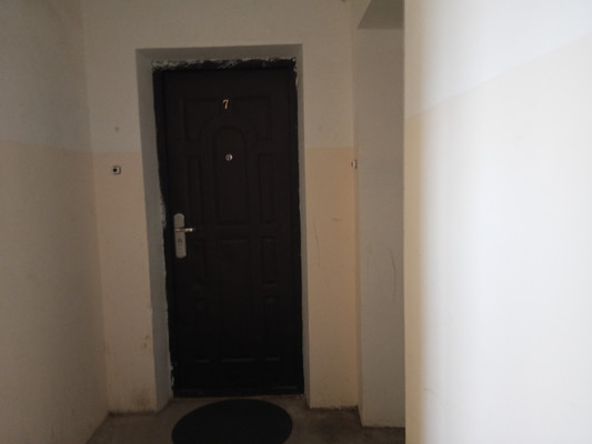 Продам однокомнатную (1-комн.) квартиру, Курковицкое ш, 11Б, Кикерино п