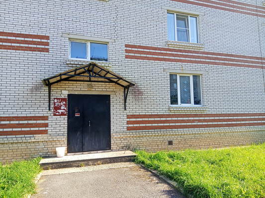 Продам однокомнатную (1-комн.) квартиру, Курковицкое ш, 11Б, Кикерино п