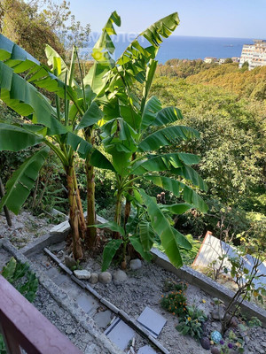 Продам дом, Звездная ул, 20Г, Туапсе г, 0 км от города