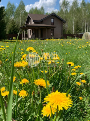 Продам дом, Тарная ул, 17, Селевино д, 0 км от города