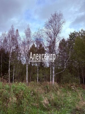 Продам участок 8,6 соток, ИЖС, 2-й Серебристый проезд, Победа п, 40 км от города