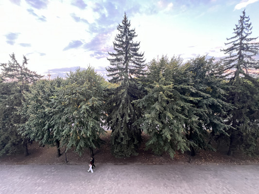 Продам двухкомнатную (2-комн.) квартиру, Ленина пр-кт, 11, Нальчик г