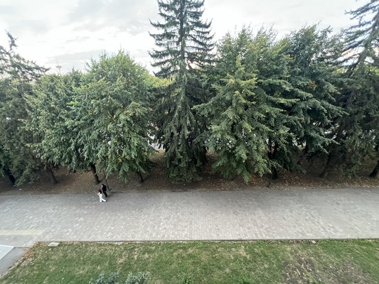 Продам двухкомнатную (2-комн.) квартиру, Ленина пр-кт, 11, Нальчик г