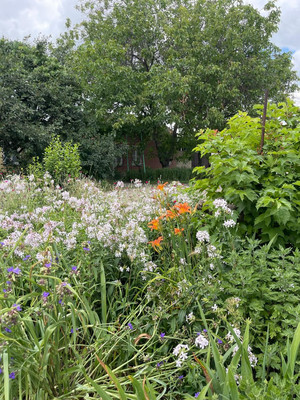 Продам участок 17 соток, ИЖС, Армавирская ул, Красная Поляна х, 0 км от города