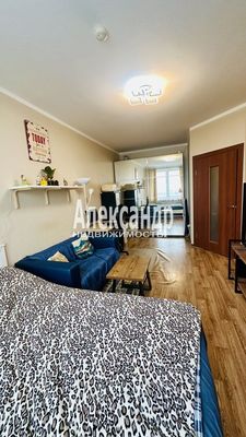 Продам однокомнатную (1-комн.) квартиру, Русановская ул, 17к1, Санкт-Петербург г