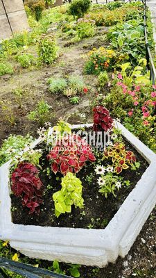 Продам однокомнатную (1-комн.) квартиру, Русановская ул, 17к1, Санкт-Петербург г