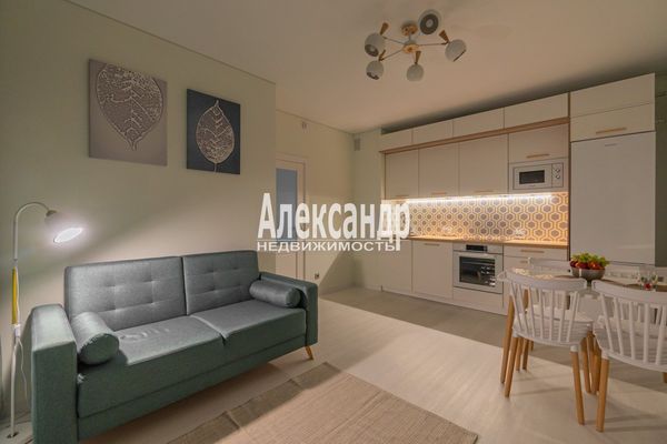 Сдам двухкомнатную (2-комн.) квартиру, Светлановский пр-кт, 14к1, Санкт-Петербург г