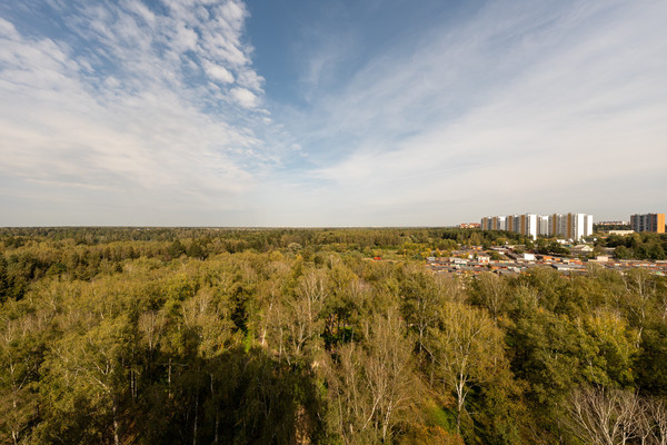 Продам двухкомнатную (2-комн.) квартиру, 1-я Ватутинская ул, 14к1, Десеновское п