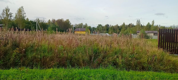 Продам участок 11 соток, Садоводство, Матвеево тер. ТСН, Языково д, 0 км от города