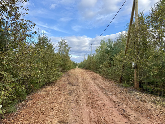 Продам участок 9,5 соток, Садоводство, Дружноселье п, 0 км от города