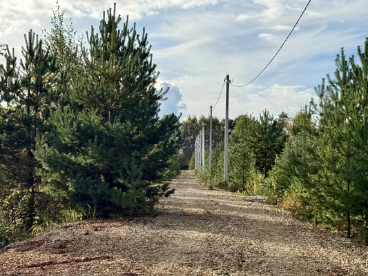 Продам участок 9,5 соток, Садоводство, Дружноселье п, 0 км от города