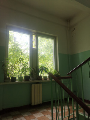 Продам однокомнатную (1-комн.) квартиру, 11-я Парковая ул, 34, Москва г