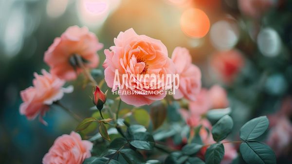 Продам участок 12 соток, ЛПХ, поселок Капибара, СОТ Энергетик-2 снт, 8, Хавус остров, 12 км от города