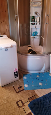 Продам дом, Лесная ул, 73, Деулино д, 0 км от города