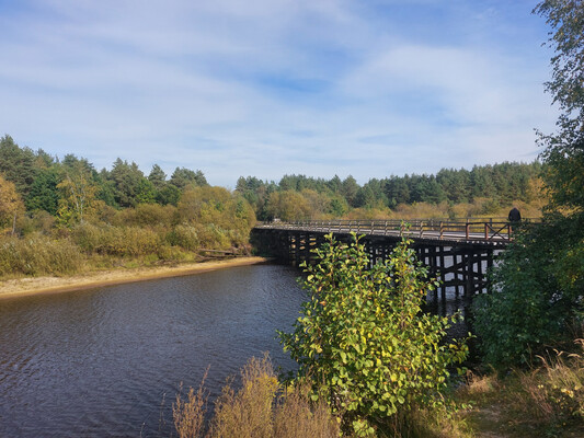 Продам дом, Лесная ул, 73, Деулино д, 0 км от города