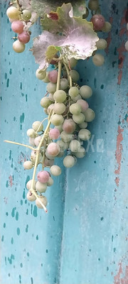 Продам дом, Степная ул, 34, Темижбекская ст-ца, 0 км от города