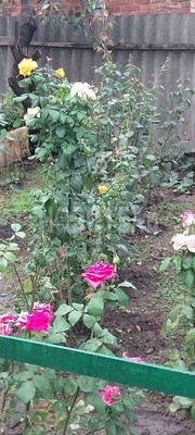 Продам дом, Степная ул, 34, Темижбекская ст-ца, 0 км от города