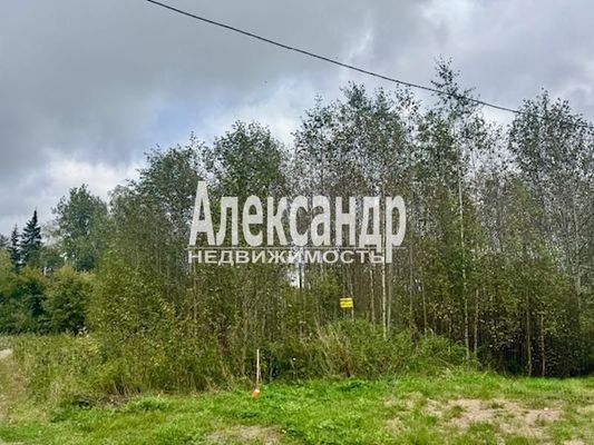 Продам участок 11 соток, ДНП, Большое Поле п, 120 км от города