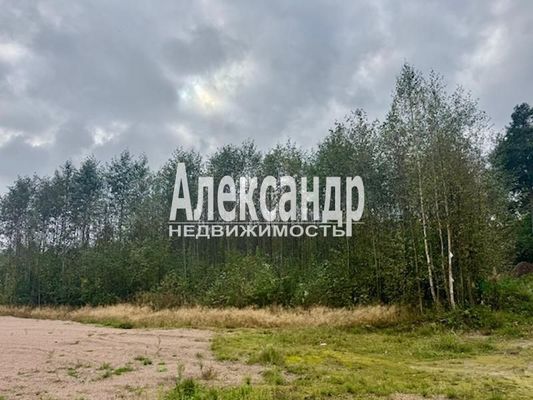 Продам участок 11 соток, ДНП, Большое Поле п, 120 км от города