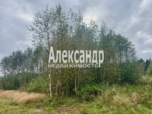 Продам участок 11 соток, ДНП, Большое Поле п, 120 км от города