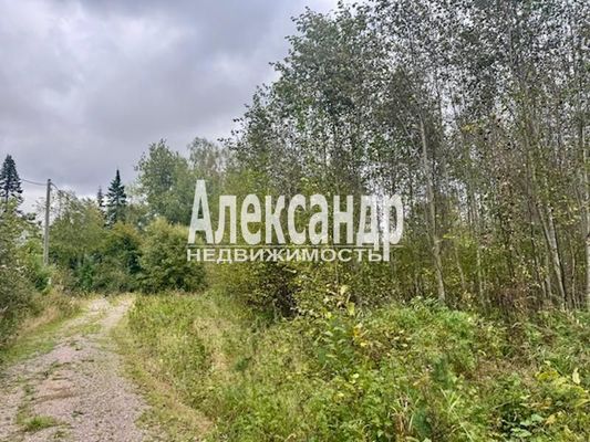 Продам участок 11 соток, ДНП, Большое Поле п, 120 км от города