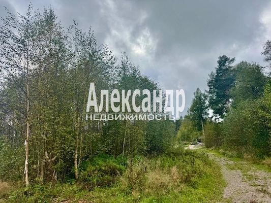 Продам участок 11 соток, ДНП, Большое Поле п, 120 км от города