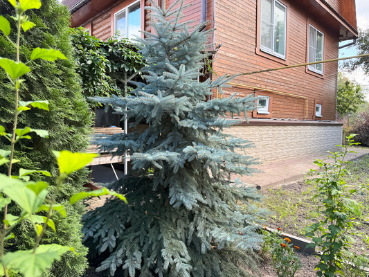 Продам дом, Нагорная ул, 141 , Сартаково д, 20 км от города