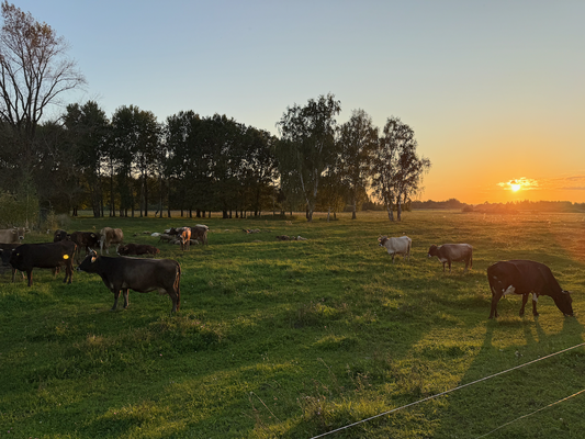 Продам дом, Нагорная ул, 141 , Сартаково д, 20 км от города