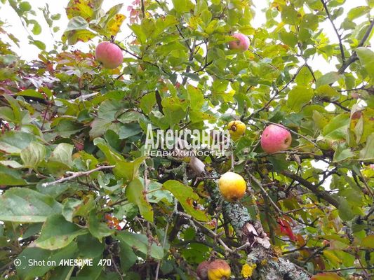 Продам дом, 337, Волхов п, 120 км от города