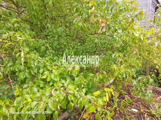 Продам дом, 337, Волхов п, 120 км от города