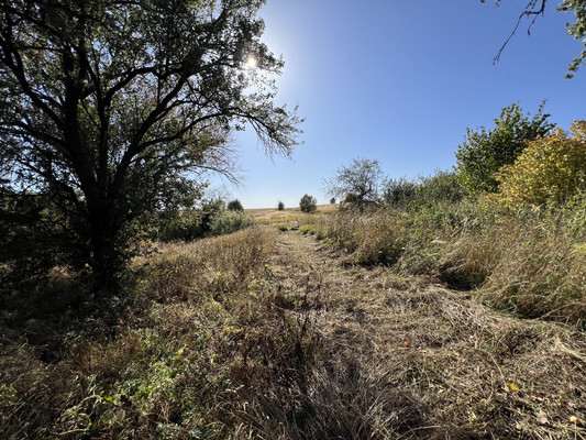 Продам дом, 2, Елисеевичи с, 0 км от города