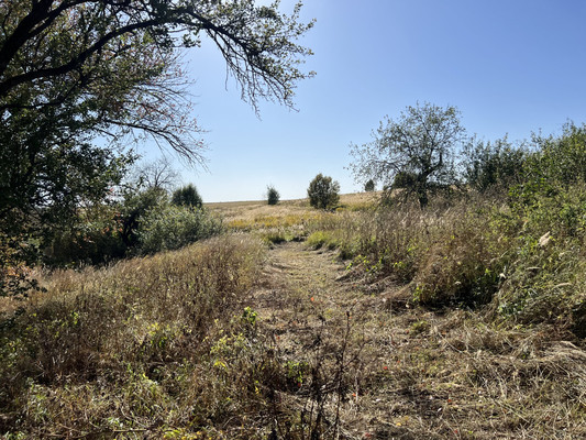 Продам дом, 2, Елисеевичи с, 0 км от города