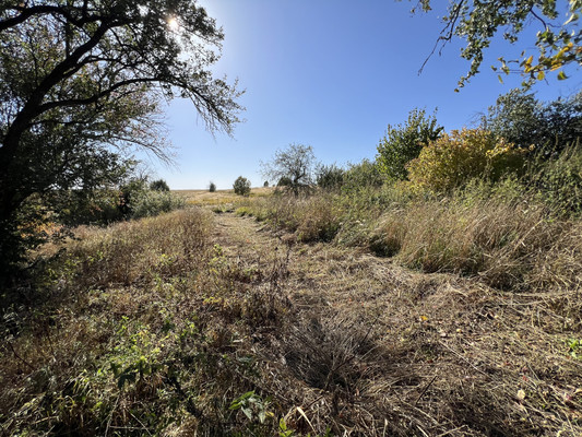 Продам дом, 2, Елисеевичи с, 0 км от города