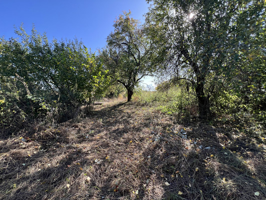 Продам дом, 2, Елисеевичи с, 0 км от города