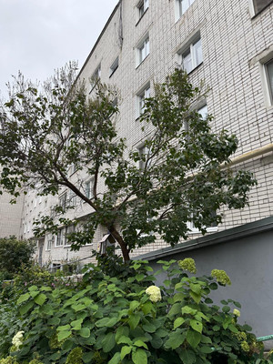Продам трехкомнатную (3-комн.) квартиру, Волкова ул, 65, Йошкар-Ола г