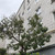 Продам трехкомнатную (3-комн.) квартиру, Волкова ул, 65, Йошкар-Ола г