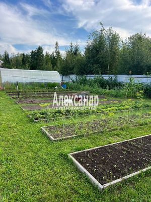 Продам дачу в поселке &amp;quot;Рыбацкое&amp;quot;, Лазурная ул, 39, ДНП Рыбацкое тер, 60 км от города