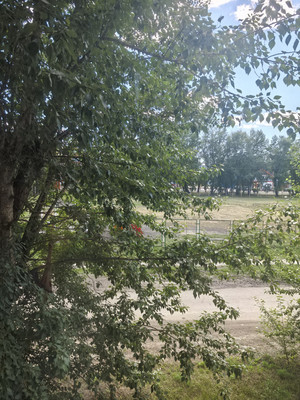 Продам двухкомнатную (2-комн.) квартиру, Дударского ул, 23, Черемхово г