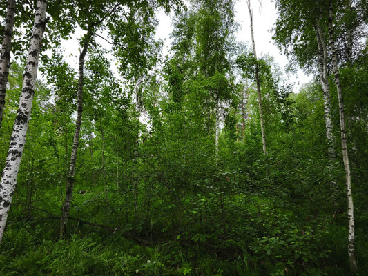 Продам участок 10 соток, Садоводство, Красная поляна тер. ДНТ, 0 км от города