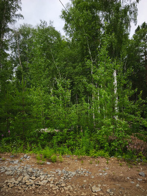 Продам участок 10 соток, Садоводство, Красная поляна тер. ДНТ, 0 км от города