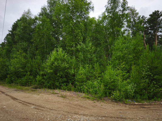 Продам участок 10 соток, Садоводство, Красная поляна тер. ДНТ, 0 км от города