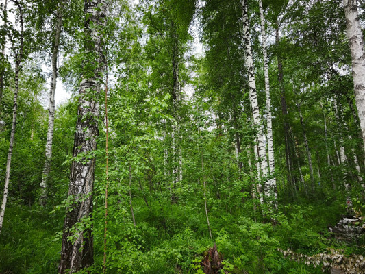 Продам участок 10 соток, Садоводство, Красная поляна тер. ДНТ, 0 км от города