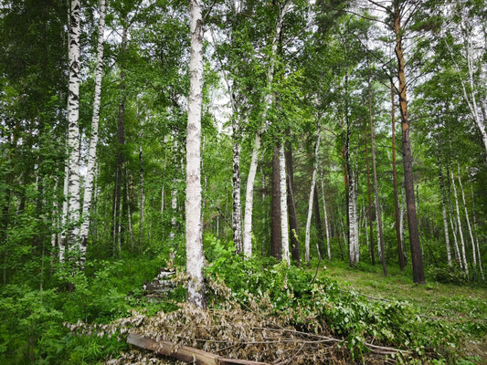 Продам участок 10 соток, Садоводство, Красная поляна тер. ДНТ, 0 км от города