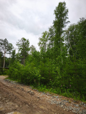 Продам участок 10 соток, Садоводство, Красная поляна тер. ДНТ, 0 км от города