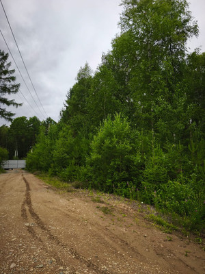 Продам участок 10 соток, Садоводство, Красная поляна тер. ДНТ, 0 км от города