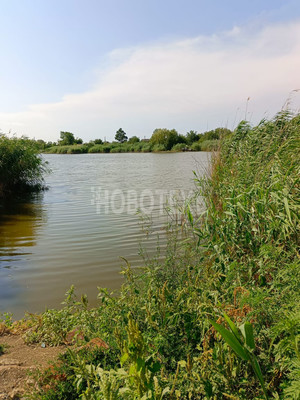 Продам участок 40,54 соток, ИЖС, Бурсаки х, 0 км от города