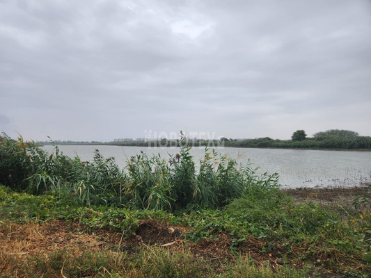 Продам участок 40,54 соток, ИЖС, Бурсаки х, 0 км от города